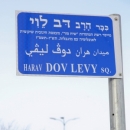 New Square Dedicated to Rabbi Dov Levy